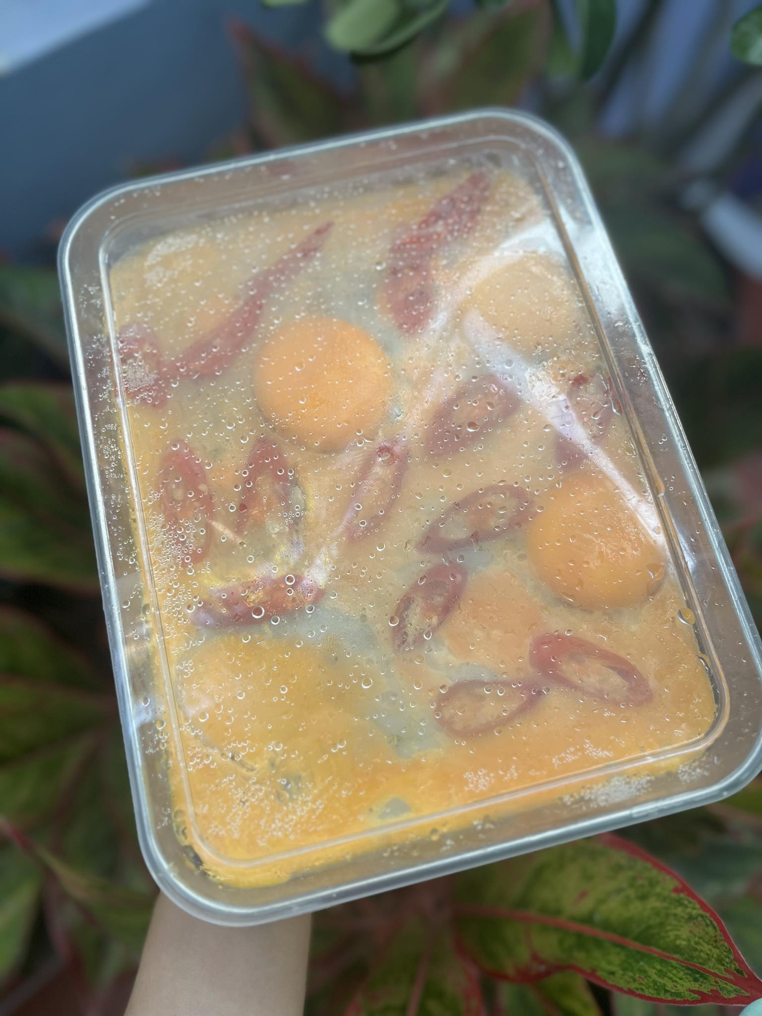 Mắm chưng (khay) - Image 2